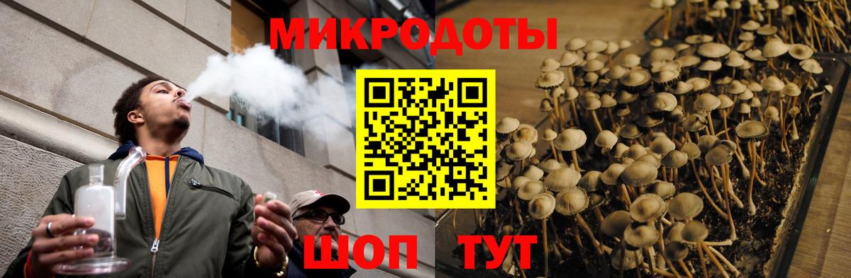 Тобольск  Галлюциногенные грибы Cubensis  Вход с VPN 